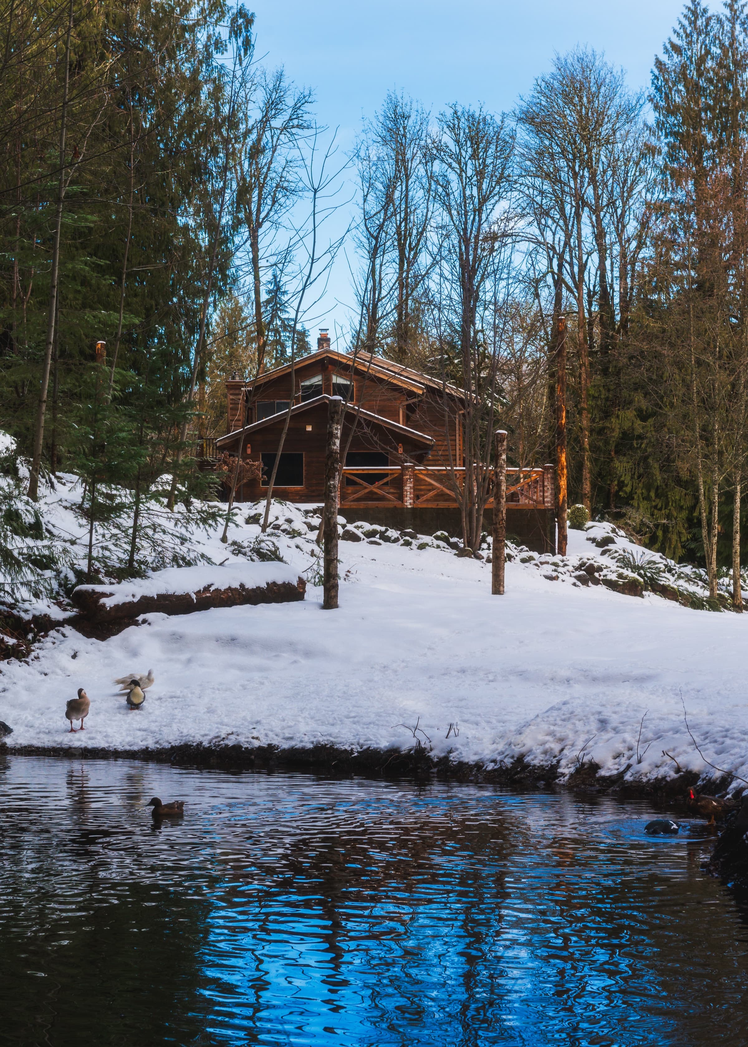 Lodge in winter from the pond