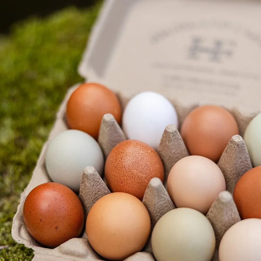 Farm Fresh Eggs