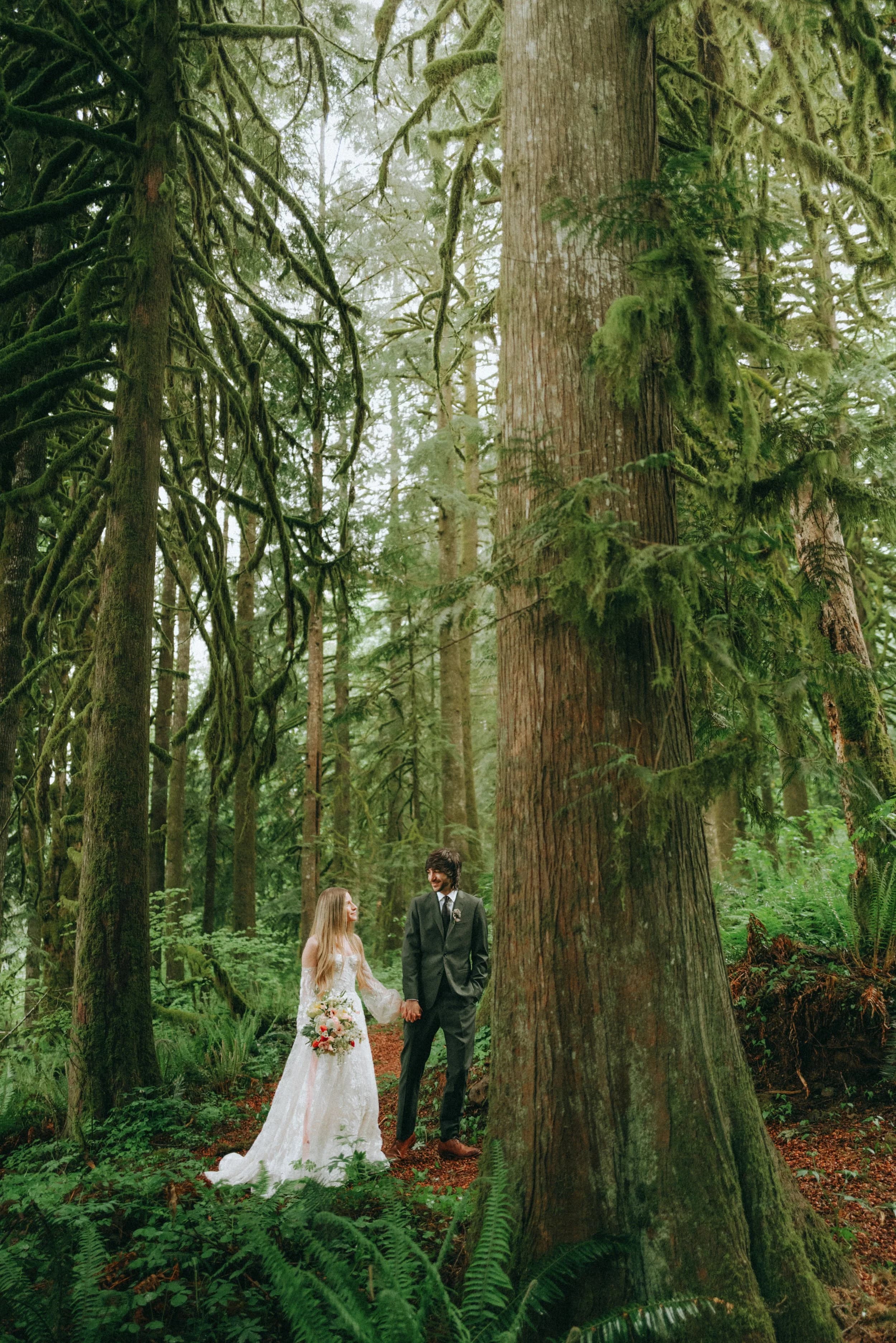 Two people in wedding clothes hold hands among enormous mossy tree trunks