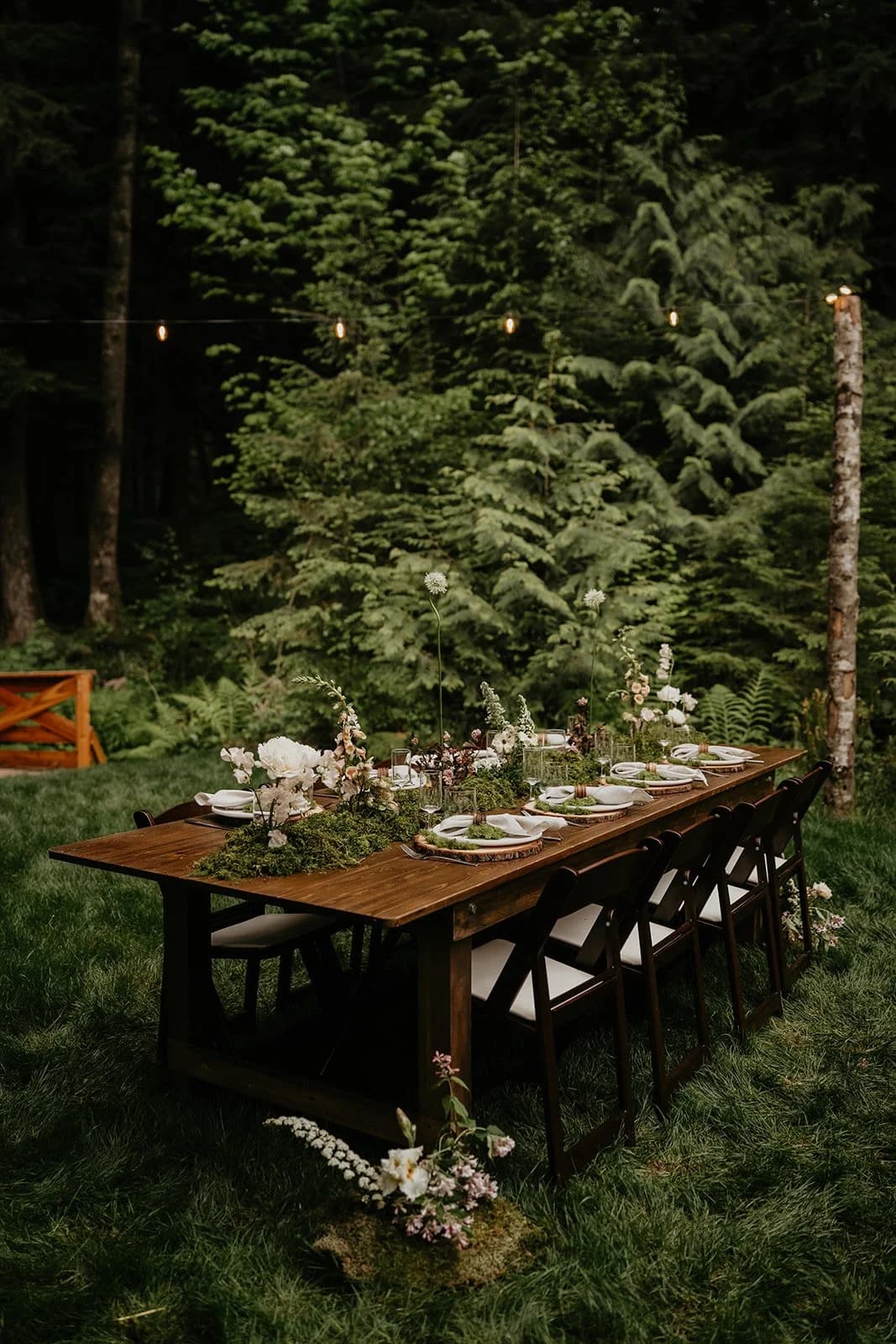 A long wooden table set among ferns under string lights