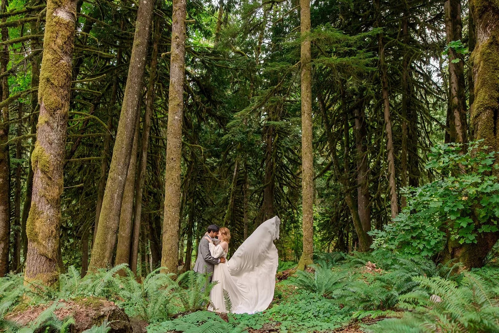 Maya and Justin hold each other among tall mossy trees and ferns as her veil lifts in the air